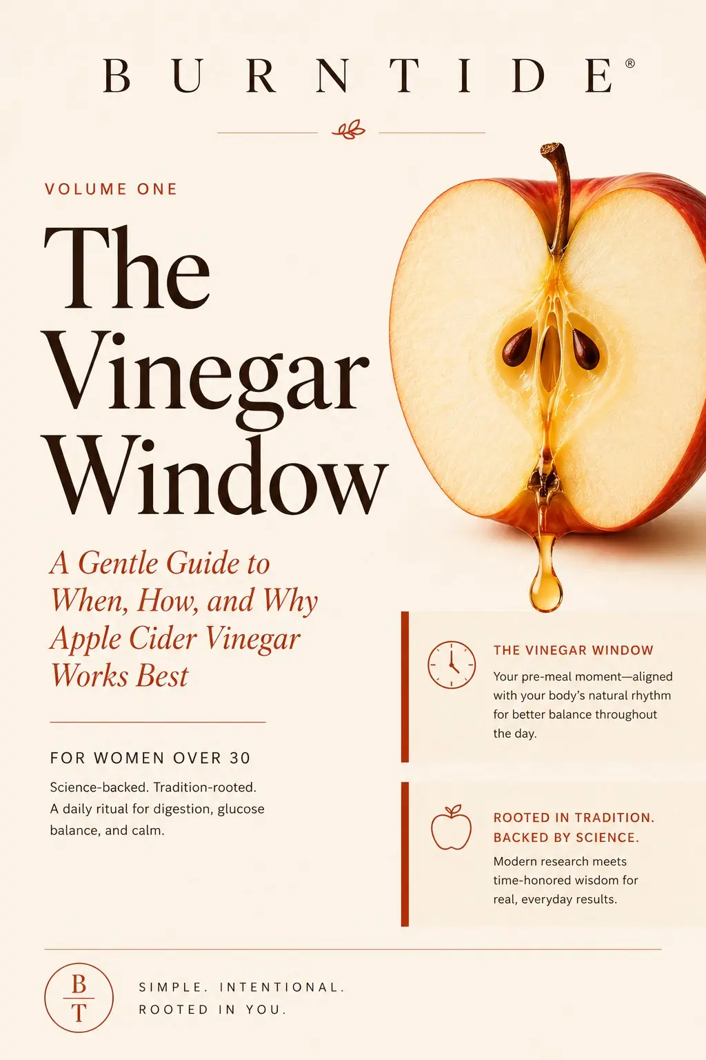 The Vinegar Window Burntide digital guide cover