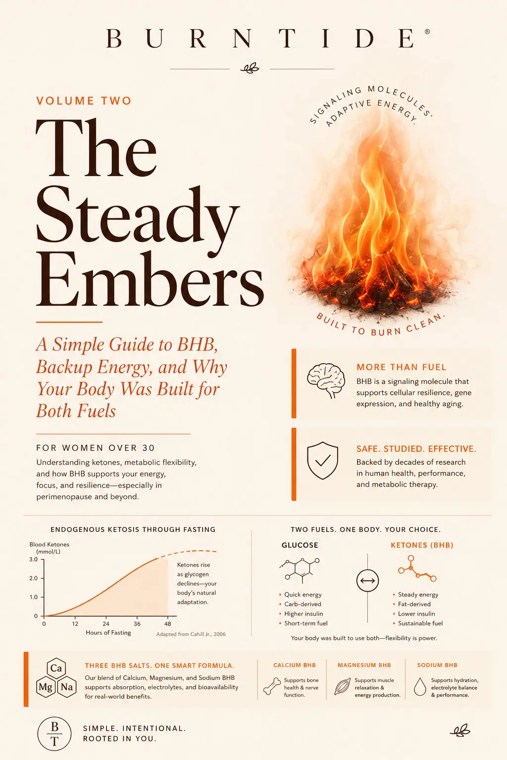 The Steady Embers Burntide digital guide cover